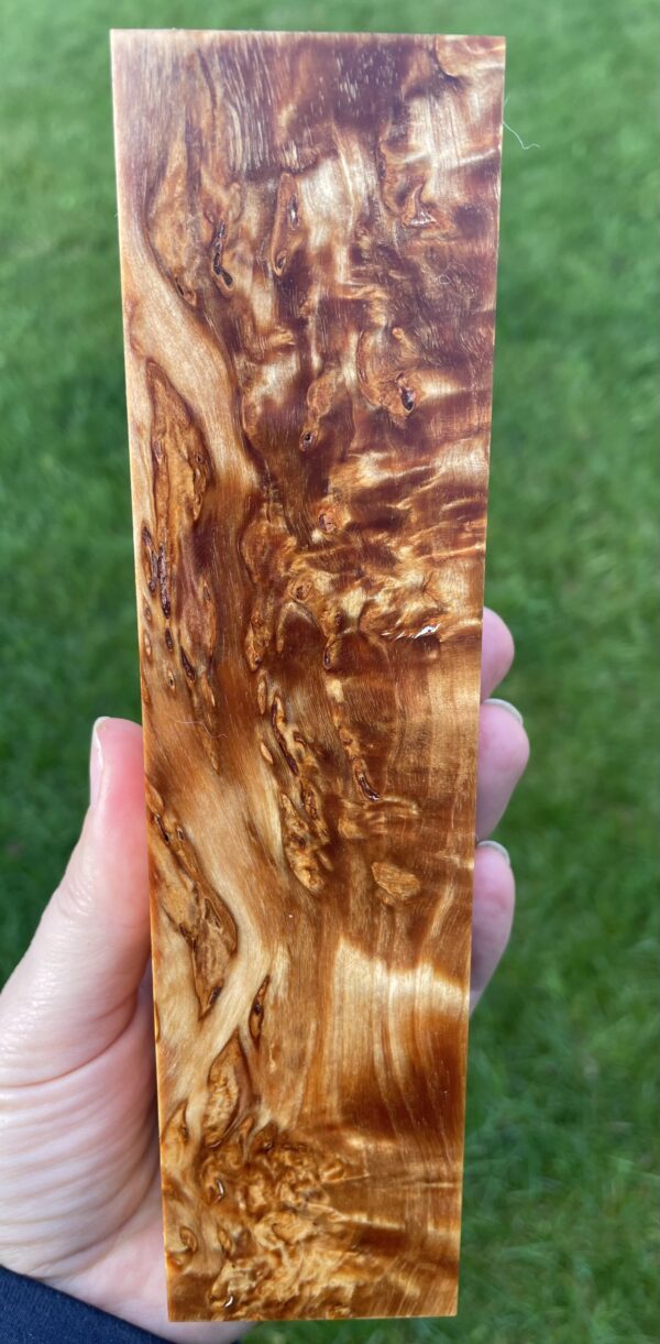 A superb grade curly birch block, prominently displaying its highly figured grain with deep, iridescent waves and whorls across its glossy surface.